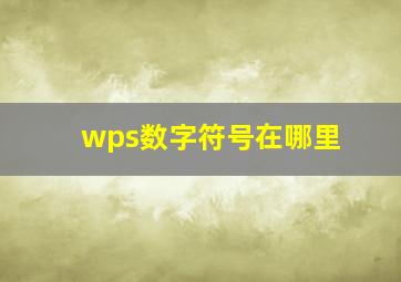 wps数字符号在哪里