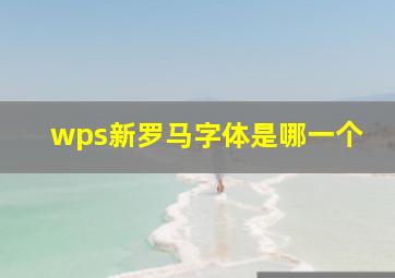 wps新罗马字体是哪一个