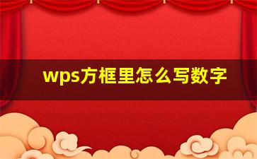 wps方框里怎么写数字