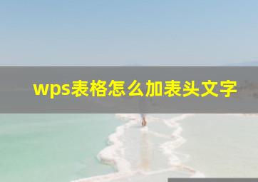 wps表格怎么加表头文字