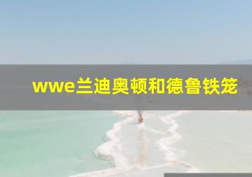 wwe兰迪奥顿和德鲁铁笼