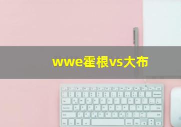 wwe霍根vs大布