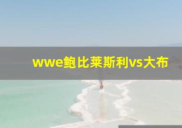 wwe鲍比莱斯利vs大布