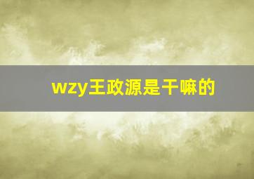 wzy王政源是干嘛的