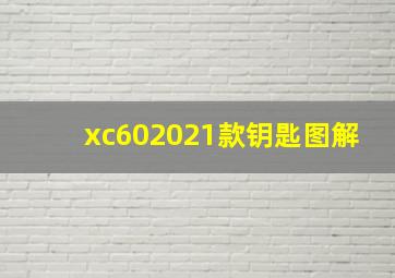 xc602021款钥匙图解