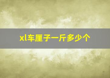 xl车厘子一斤多少个