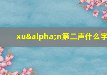 xuαn第二声什么字