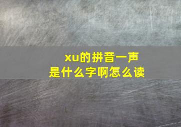 xu的拼音一声是什么字啊怎么读