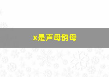 x是声母韵母