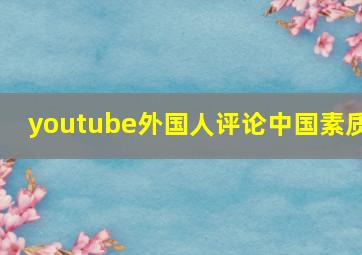 youtube外国人评论中国素质