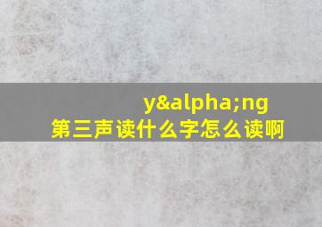 yαng第三声读什么字怎么读啊