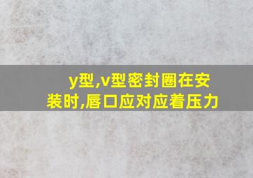 y型,v型密封圈在安装时,唇口应对应着压力