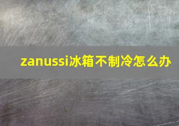 zanussi冰箱不制冷怎么办