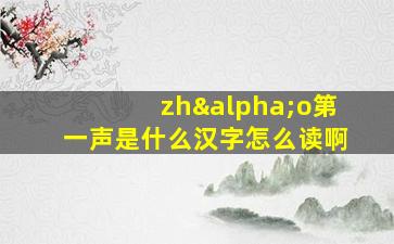 zhαo第一声是什么汉字怎么读啊