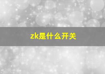 zk是什么开关