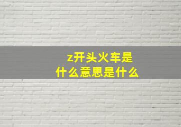 z开头火车是什么意思是什么