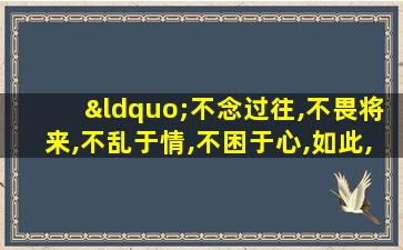 “不念过往,不畏将来,不乱于情,不困于心,如此,甚好!”