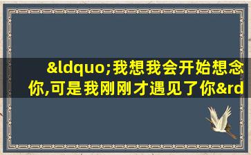 “我想我会开始想念你,可是我刚刚才遇见了你”