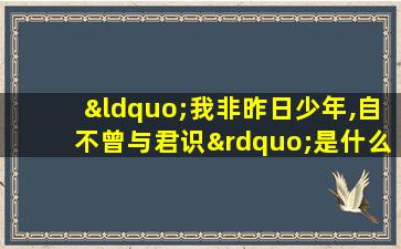 “我非昨日少年,自不曾与君识”是什么意思