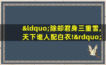 “除却君身三重雪,天下谁人配白衣!”