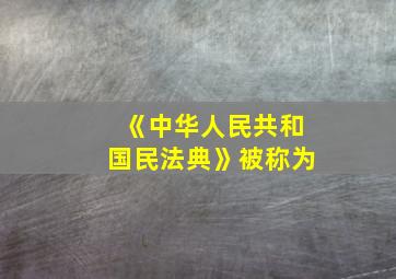 《中华人民共和国民法典》被称为