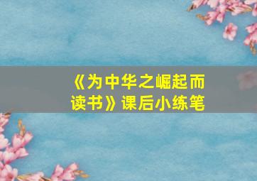 《为中华之崛起而读书》课后小练笔