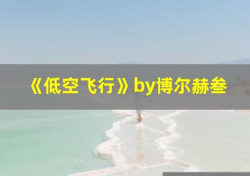 《低空飞行》by博尔赫叁