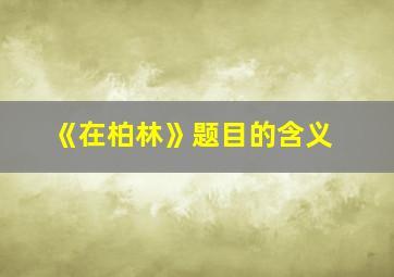 《在柏林》题目的含义