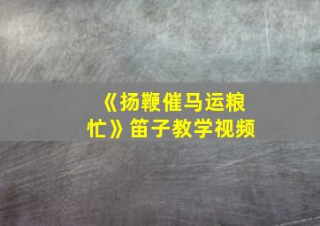 《扬鞭催马运粮忙》笛子教学视频