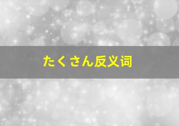 たくさん反义词