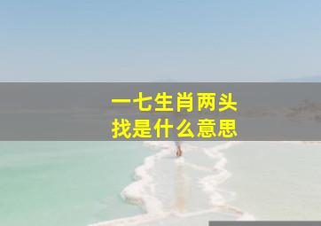 一七生肖两头找是什么意思