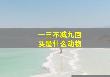 一三不减九回头是什么动物