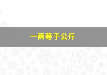 一两等于公斤