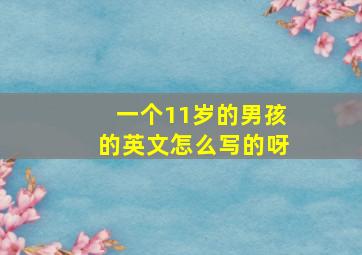 一个11岁的男孩的英文怎么写的呀