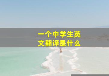 一个中学生英文翻译是什么