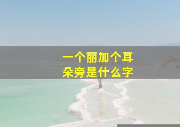 一个丽加个耳朵旁是什么字