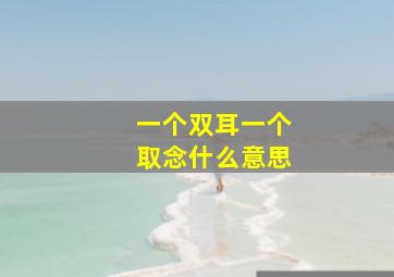 一个双耳一个取念什么意思