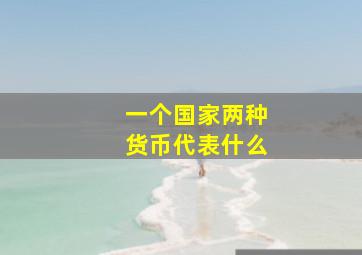 一个国家两种货币代表什么