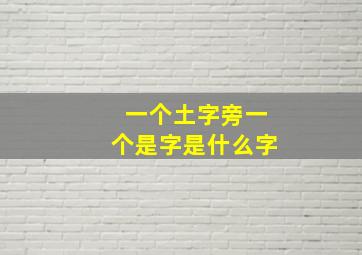 一个土字旁一个是字是什么字