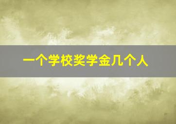 一个学校奖学金几个人