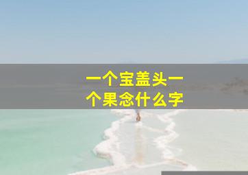 一个宝盖头一个果念什么字