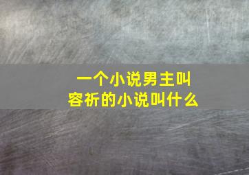 一个小说男主叫容祈的小说叫什么