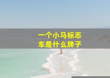 一个小马标志车是什么牌子