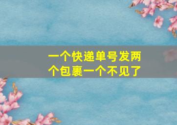 一个快递单号发两个包裹一个不见了