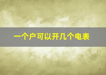 一个户可以开几个电表