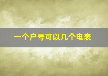 一个户号可以几个电表