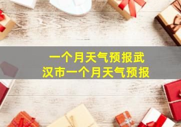 一个月天气预报武汉市一个月天气预报