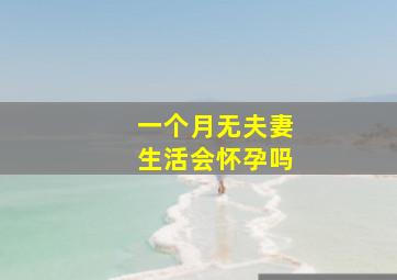 一个月无夫妻生活会怀孕吗