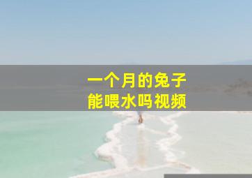 一个月的兔子能喂水吗视频