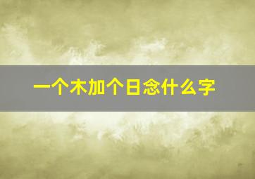 一个木加个日念什么字